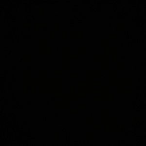 Meet your Posher, Stella